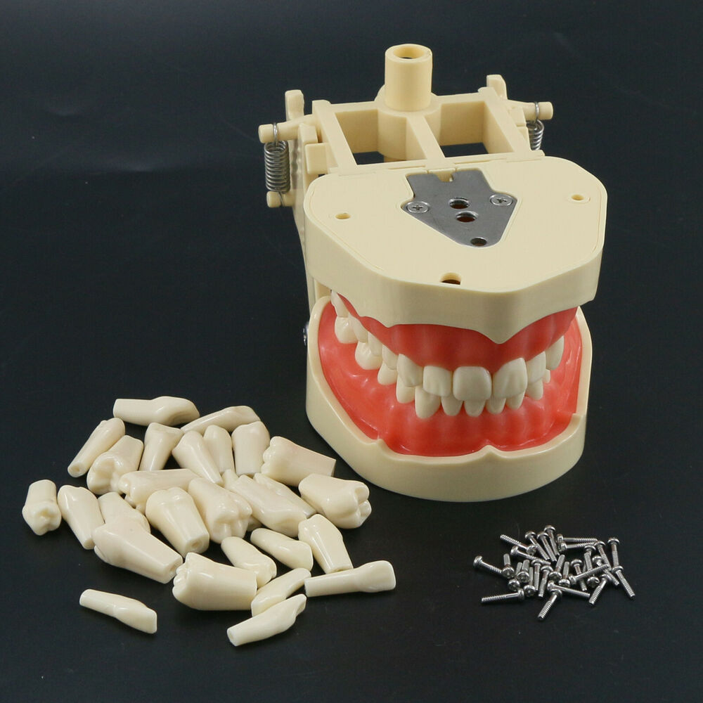 Frasaco ANA-4 Dental Restorati - огляд і ціна Stethoscope