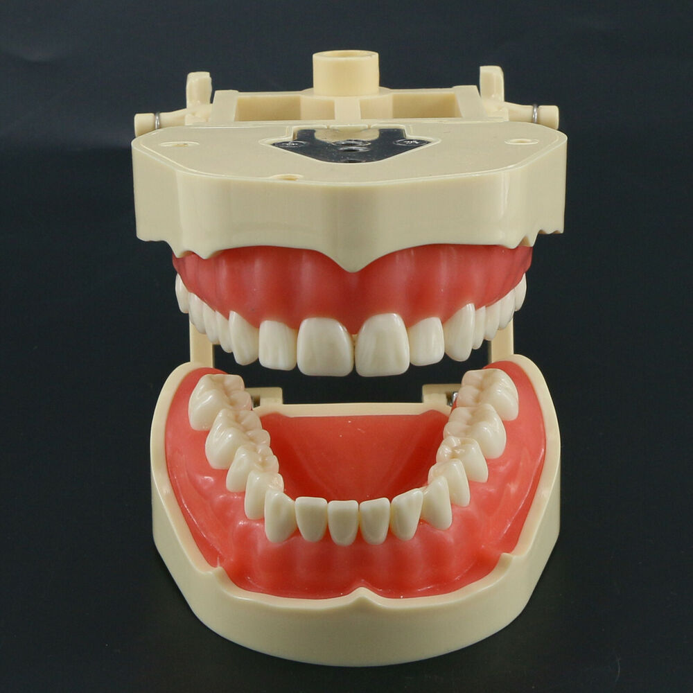 Frasaco ANA-4 Dental Restorati - огляд і ціна Stethoscope