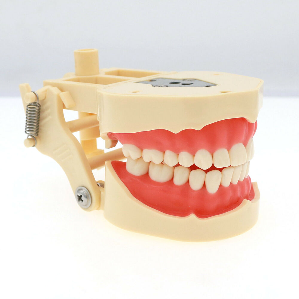 Frasaco ANA-4 Dental Restorati - огляд і ціна Stethoscope