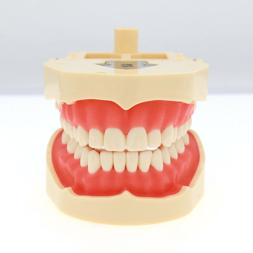 Frasaco ANA-4 Dental Restorati - огляд і ціна Stethoscope