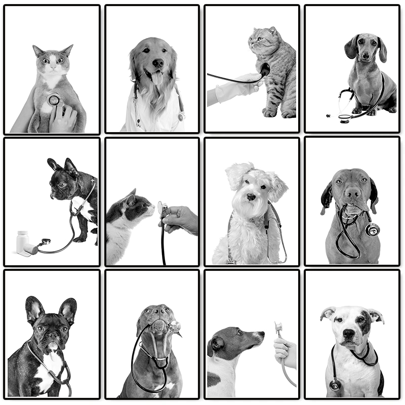 Animal Doctor Vet Med Poster D - огляд і ціна Stethoscope