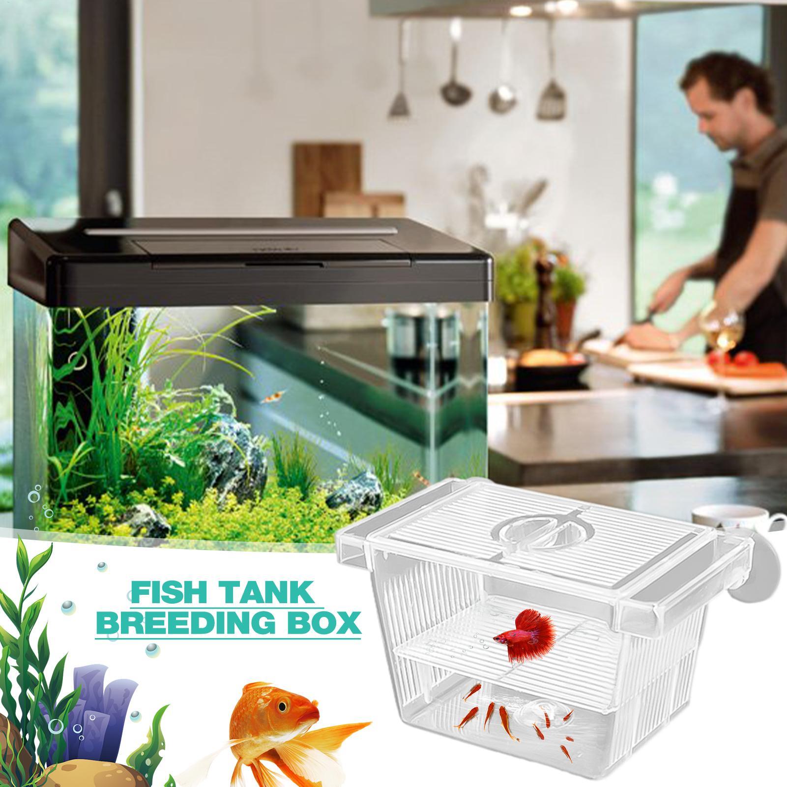 Aquarium Hatchery Acrylic Isol - огляд і ціна Lab Incubator
